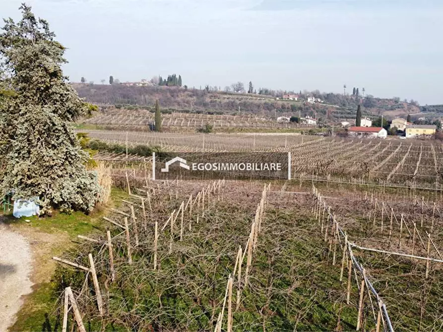 Immagine 29 di Terreno agricolo in vendita  in Via Bellavista snc a Sona