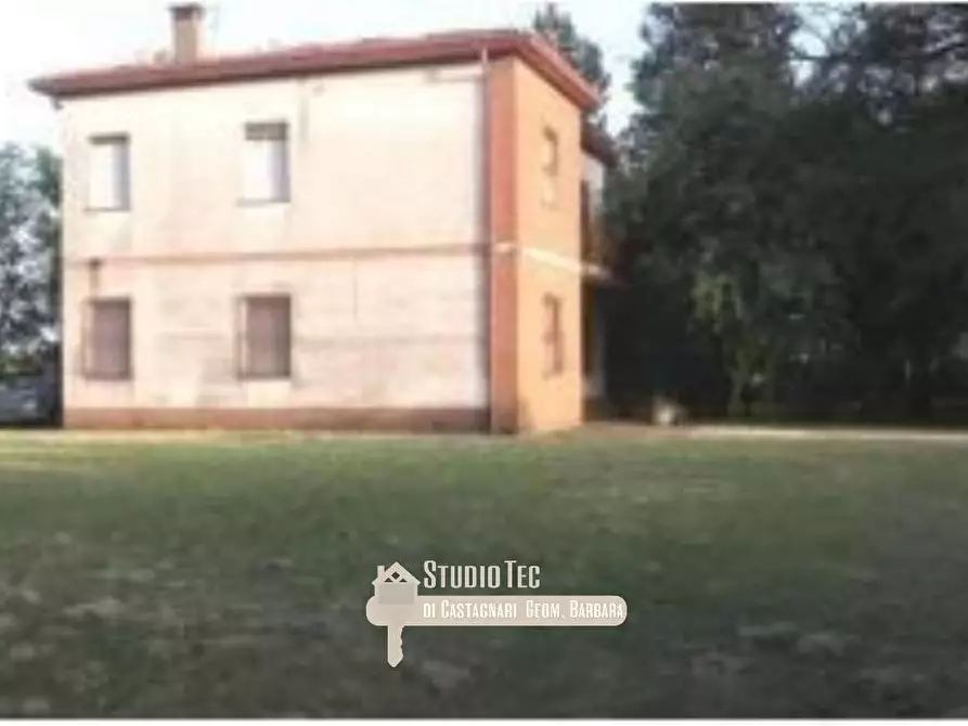 Immagine 3 di Azienda agricola in vendita  in Stradello di Sotto a Bagnacavallo