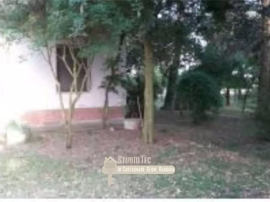 Immagine 4 di Azienda agricola in vendita  in Stradello di Sotto a Bagnacavallo