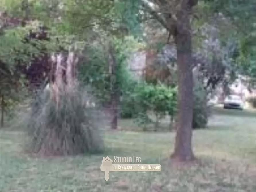 Immagine 5 di Azienda agricola in vendita  in Stradello di Sotto a Bagnacavallo