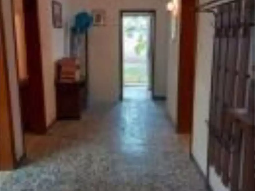 Immagine 6 di Azienda agricola in vendita  in Stradello di Sotto a Bagnacavallo