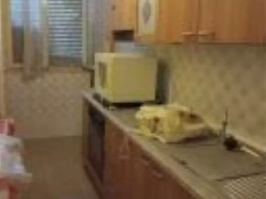 Immagine 14 di Azienda agricola in vendita  in Stradello di Sotto a Bagnacavallo