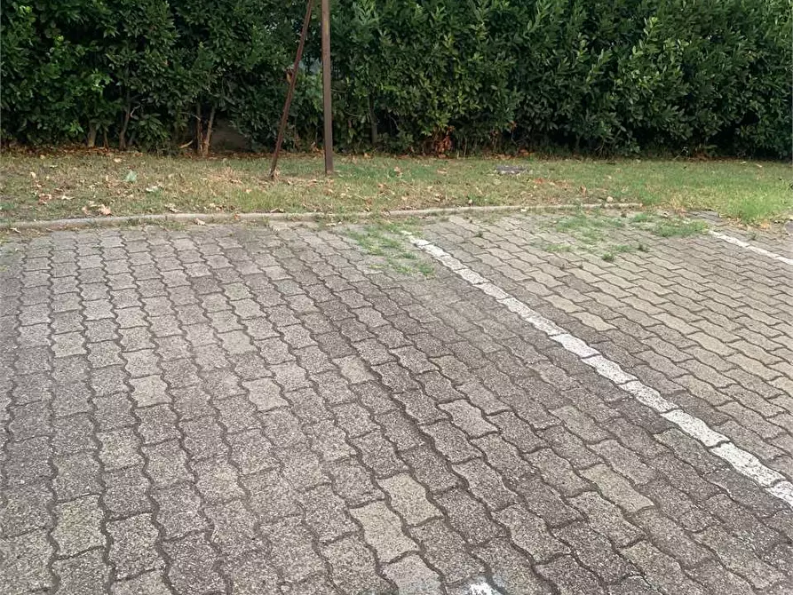 Immagine 20 di Appartamento in affitto  in via al lido 1 a Ravenna