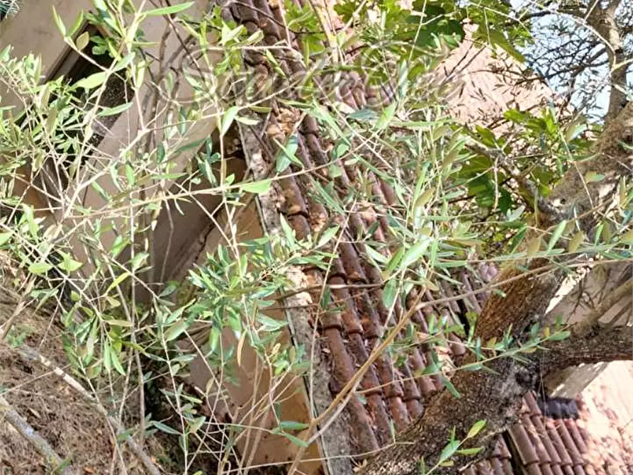 Immagine 20 di Casa indipendente in vendita  in VIA Sementana a Sassoferrato