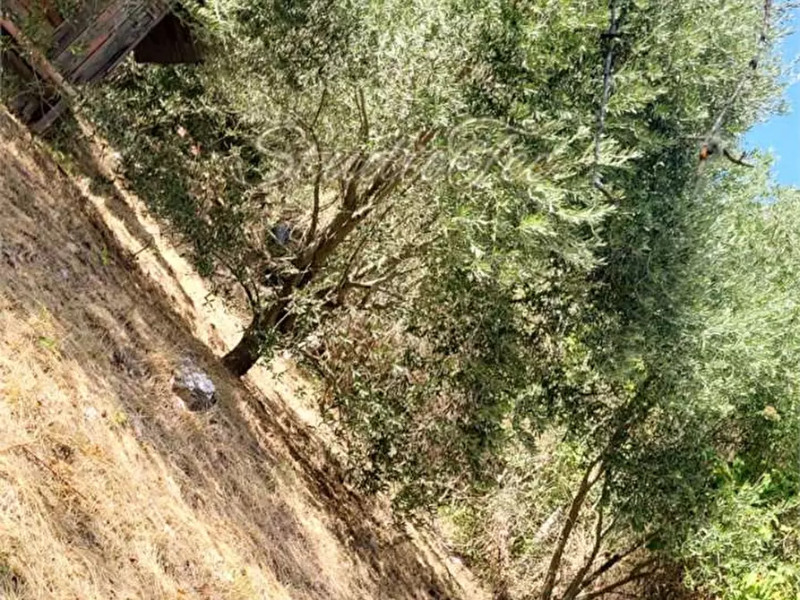 Immagine 28 di Casa indipendente in vendita  in VIA Sementana a Sassoferrato