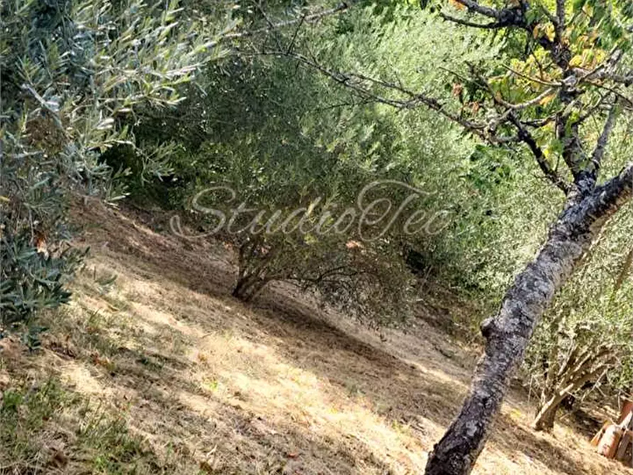 Immagine 29 di Casa indipendente in vendita  in VIA Sementana a Sassoferrato