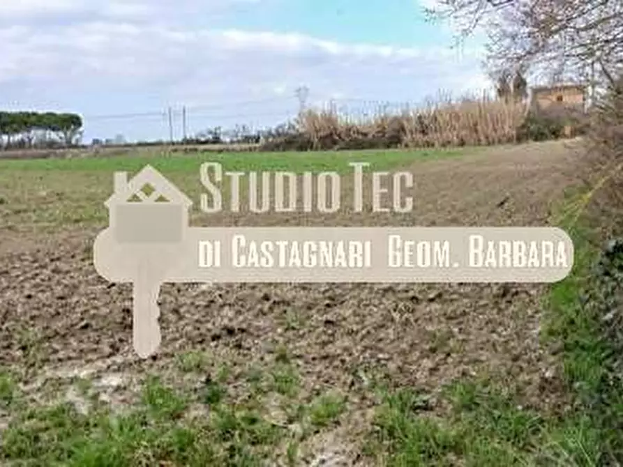 Immagine 3 di Terreno agricolo in vendita  in VIA CANALA 53/c a Ravenna