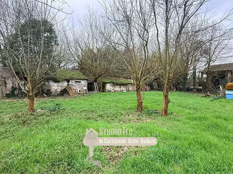 Immagine 3 di Terreno edificabile in vendita  in via argine destro montone a Ravenna