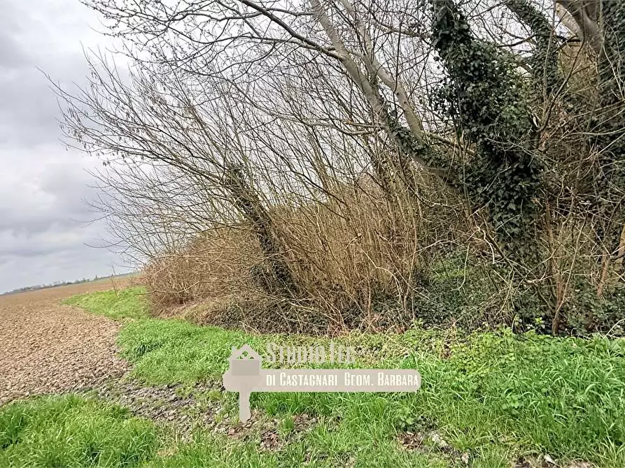 Immagine 8 di Terreno edificabile in vendita  in via argine destro montone a Ravenna