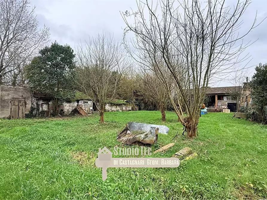 Immagine 10 di Terreno edificabile in vendita  in via argine destro montone a Ravenna