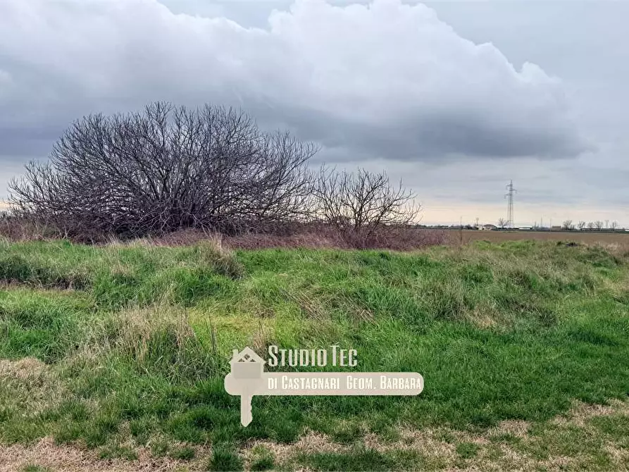 Immagine 5 di Terreno edificabile in vendita  in Viazza di Sotto a Ravenna