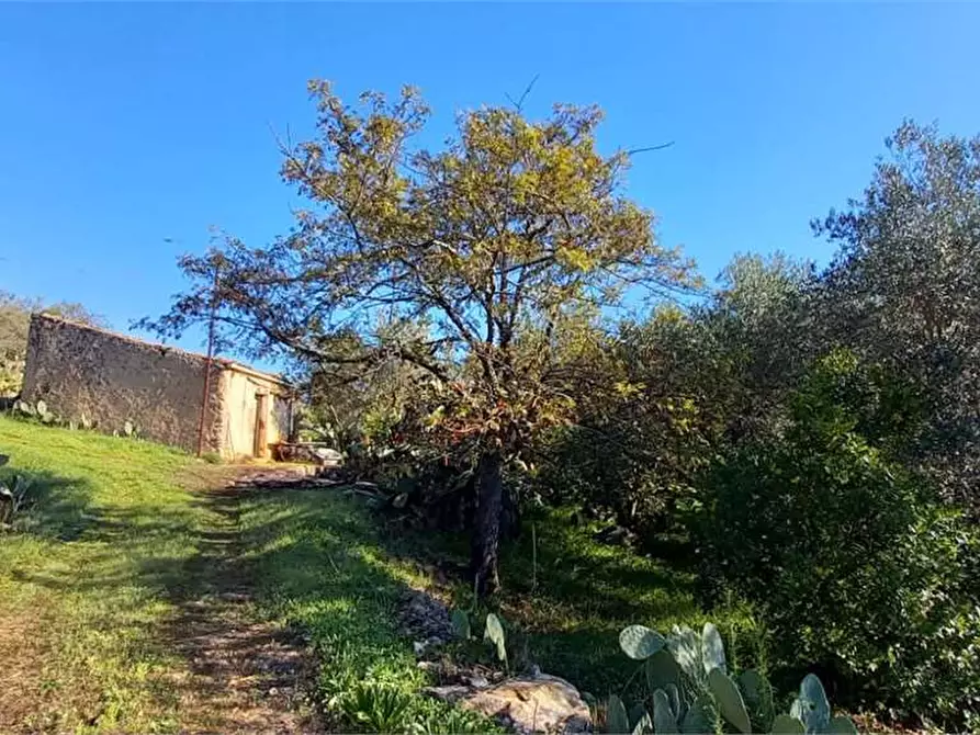 Immagine 1 di Terreno edificabile in vendita  in Monte Caputo a Monreale