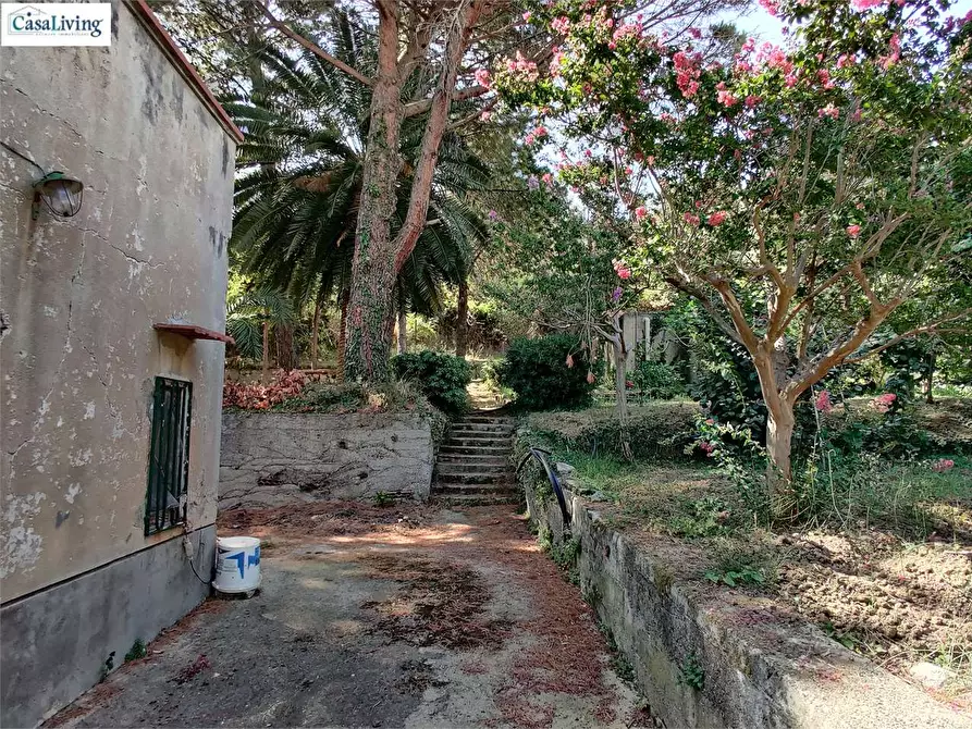 Immagine 7 di Villa in vendita  in Contrada Coda Di Caculla a Monreale