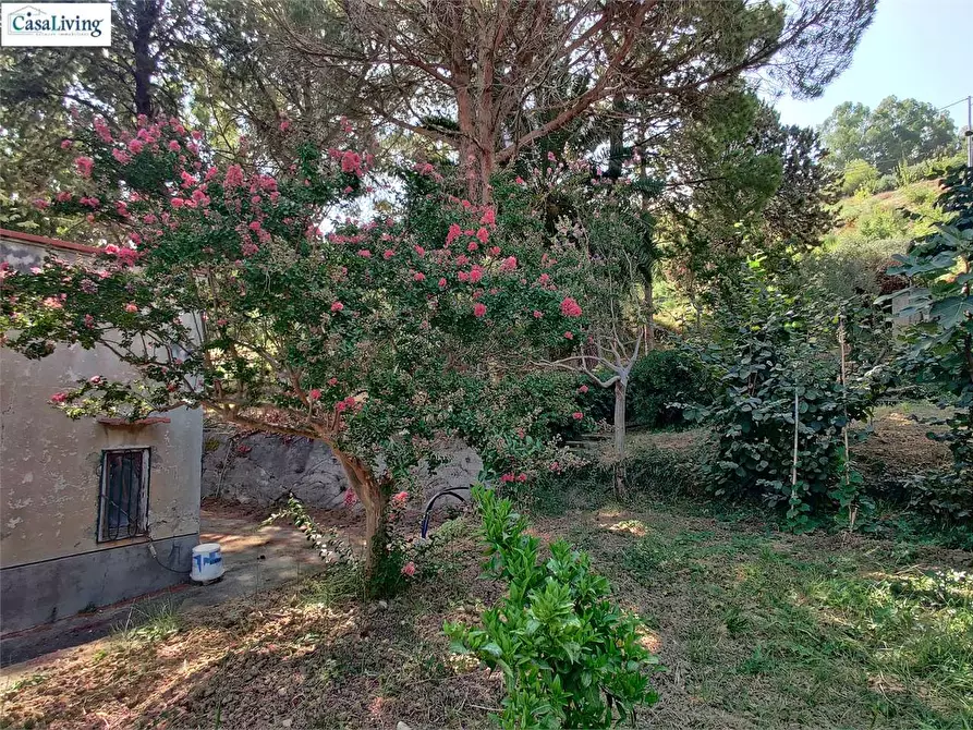 Immagine 8 di Villa in vendita  in Contrada Coda Di Caculla a Monreale