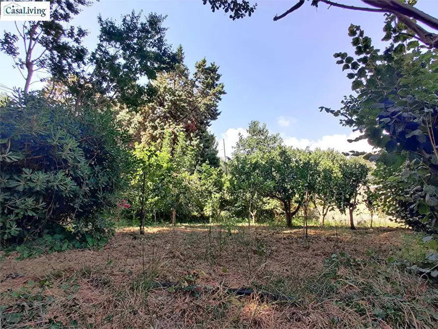 Immagine 11 di Villa in vendita  in Contrada Coda Di Caculla a Monreale