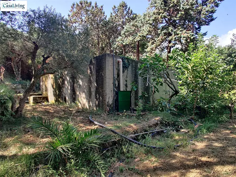 Immagine 13 di Villa in vendita  in Contrada Coda Di Caculla a Monreale