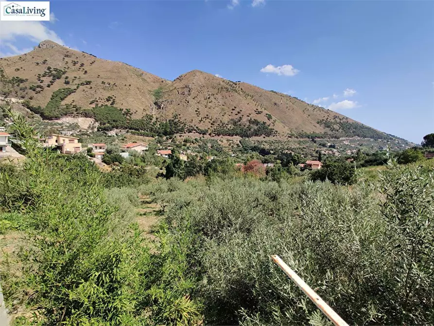 Immagine 26 di Villa in vendita  in Contrada Coda Di Caculla a Monreale