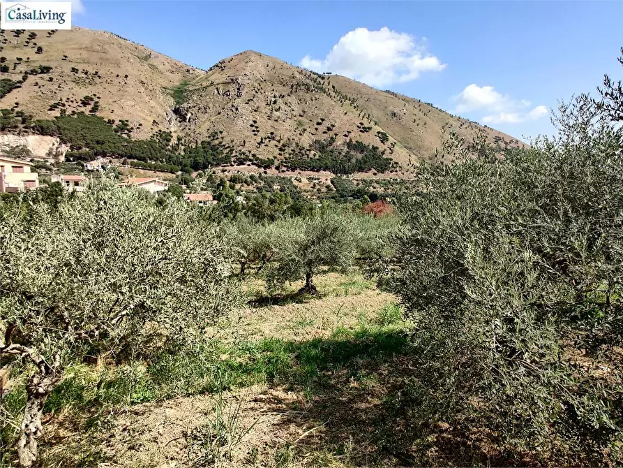 Immagine 28 di Villa in vendita  in Contrada Coda Di Caculla a Monreale