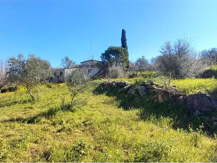 Immagine 7 di Monolocale in vendita  in Contrada Caculla a Monreale