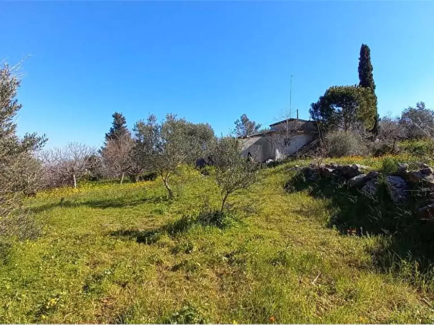 Immagine 8 di Monolocale in vendita  in Contrada Caculla a Monreale