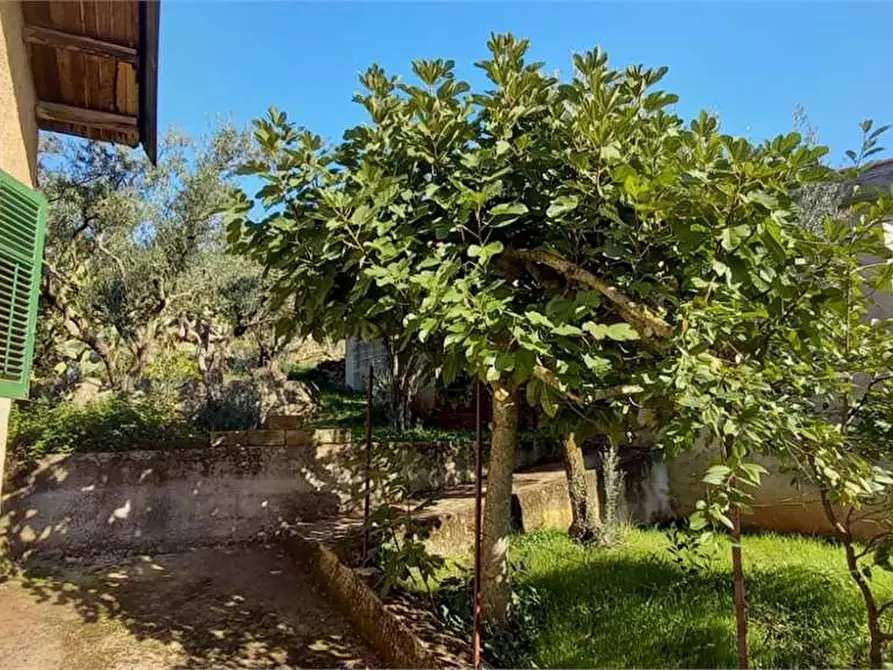 Immagine 22 di Villa in vendita  in Contrada Monte Caputo a Monreale