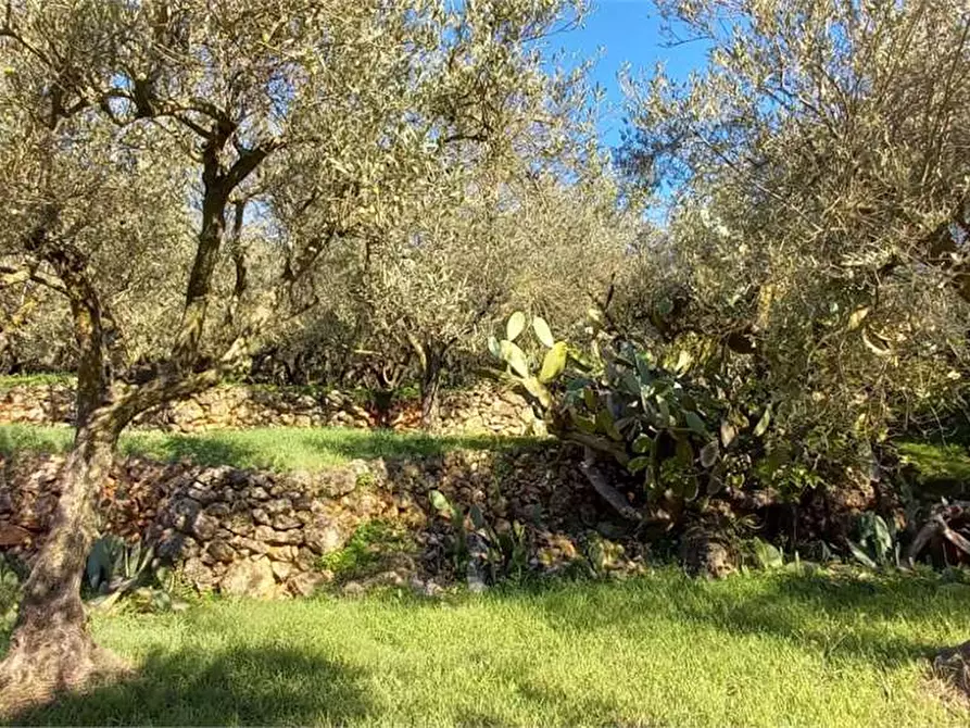 Immagine 26 di Villa in vendita  in Contrada Monte Caputo a Monreale