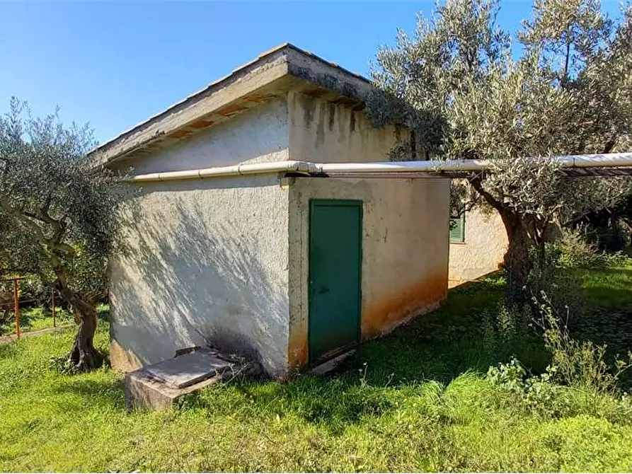 Immagine 28 di Villa in vendita  in Contrada Monte Caputo a Monreale