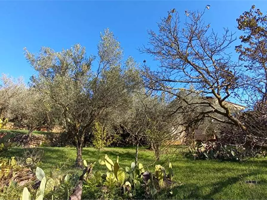 Immagine 34 di Villa in vendita  in Contrada Monte Caputo a Monreale