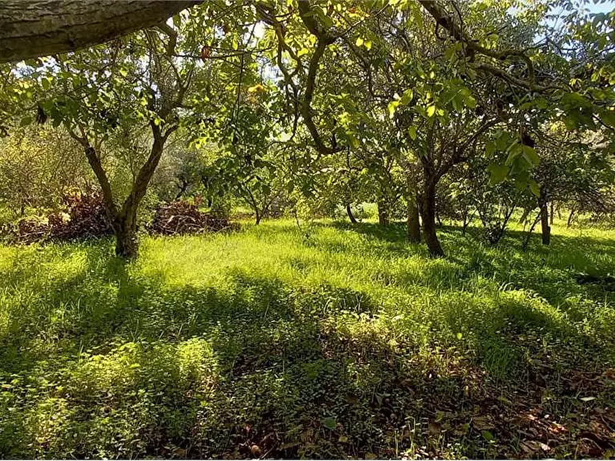Immagine 37 di Villa in vendita  in Contrada Monte Caputo a Monreale