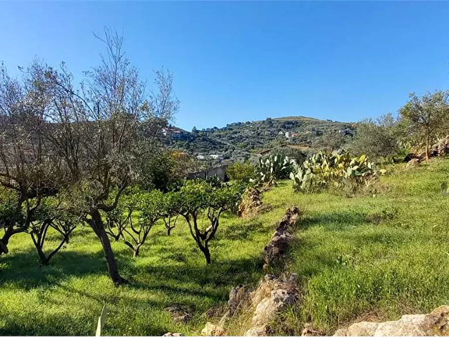 Immagine 43 di Villa in vendita  in Contrada Monte Caputo a Monreale