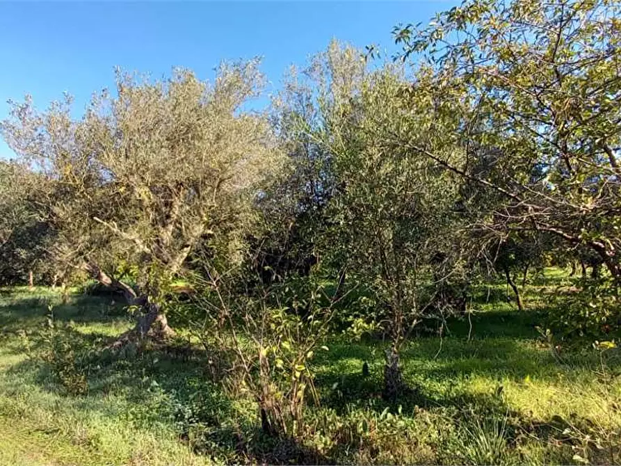 Immagine 44 di Villa in vendita  in Contrada Monte Caputo a Monreale