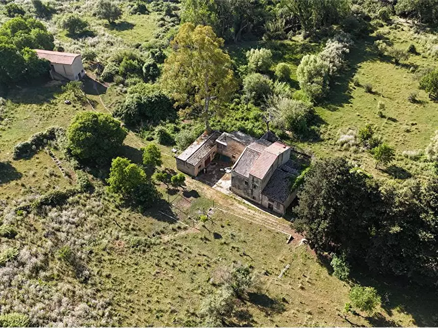 Immagine 3 di Rustico / casale in vendita  in Contrada Pensabene a Monreale