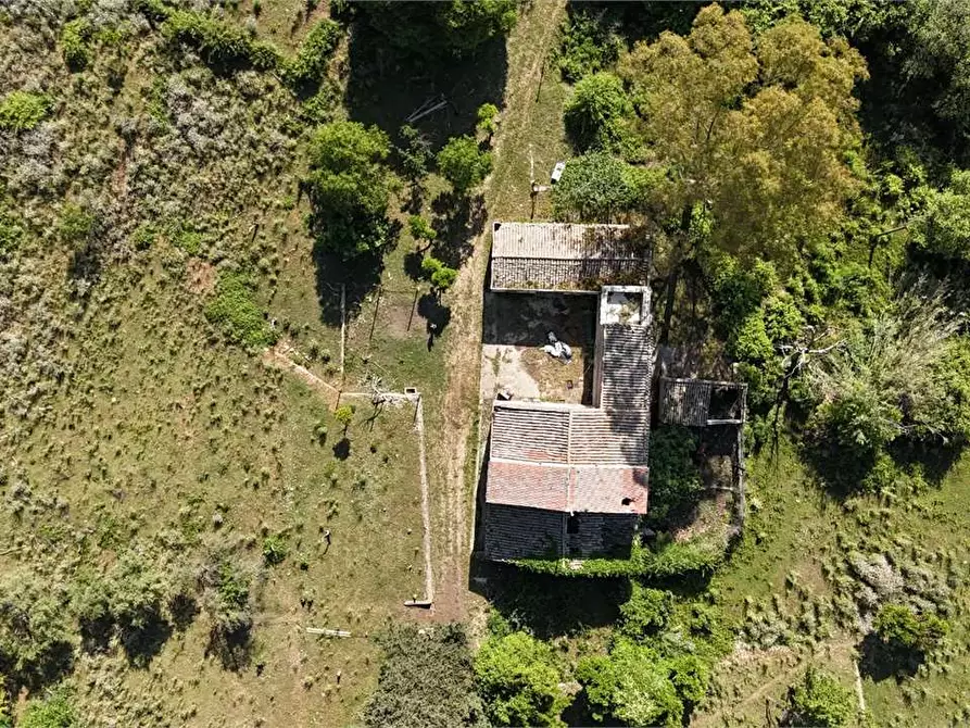 Immagine 4 di Rustico / casale in vendita  in Contrada Pensabene a Monreale