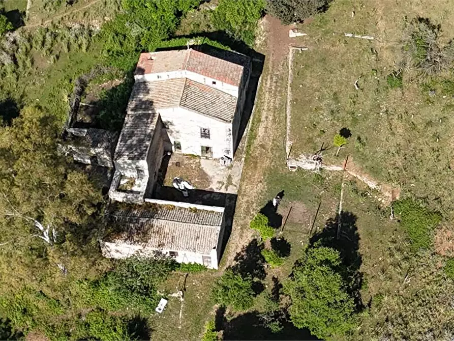 Immagine 5 di Rustico / casale in vendita  in Contrada Pensabene a Monreale