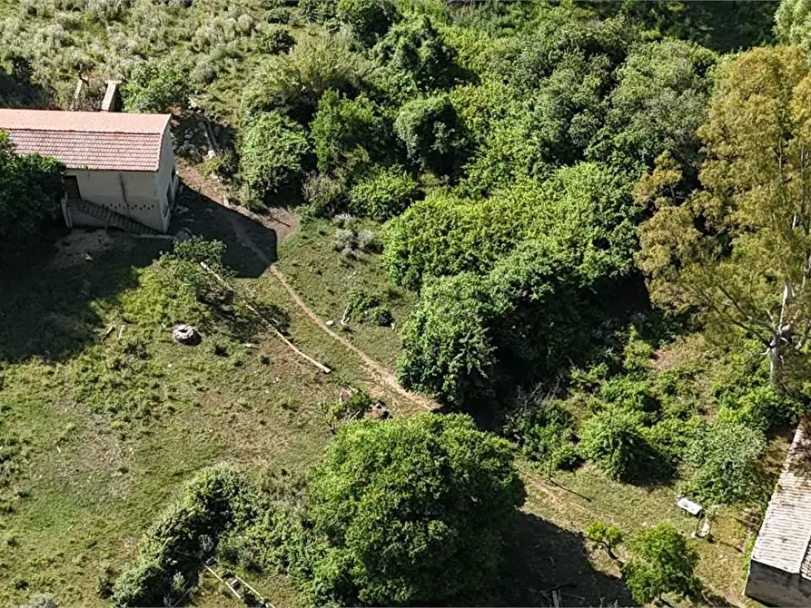 Immagine 6 di Rustico / casale in vendita  in Contrada Pensabene a Monreale