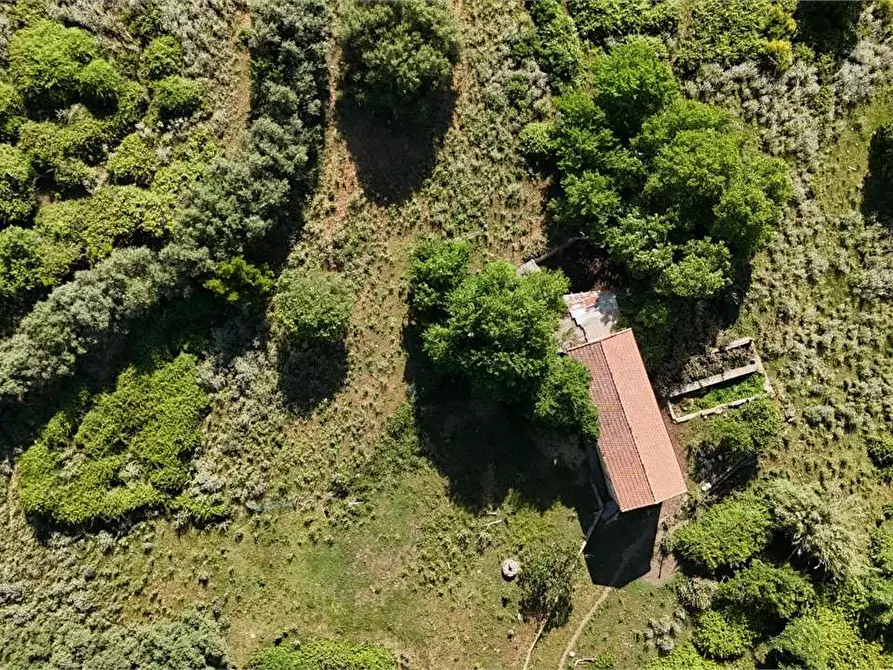Immagine 7 di Rustico / casale in vendita  in Contrada Pensabene a Monreale