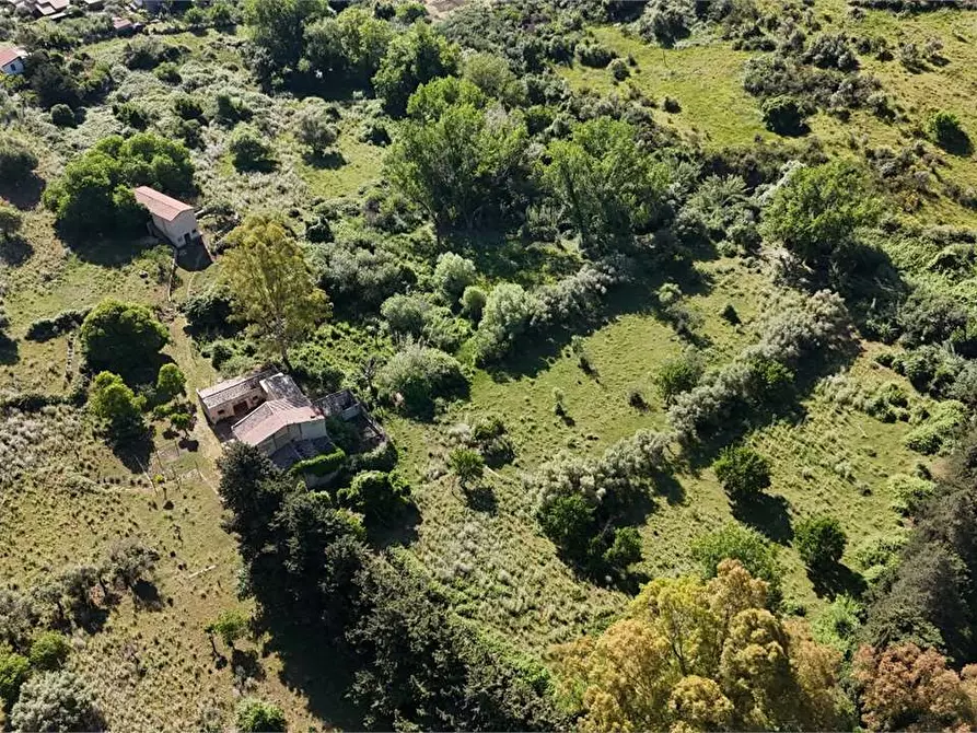 Immagine 9 di Rustico / casale in vendita  in Contrada Pensabene a Monreale