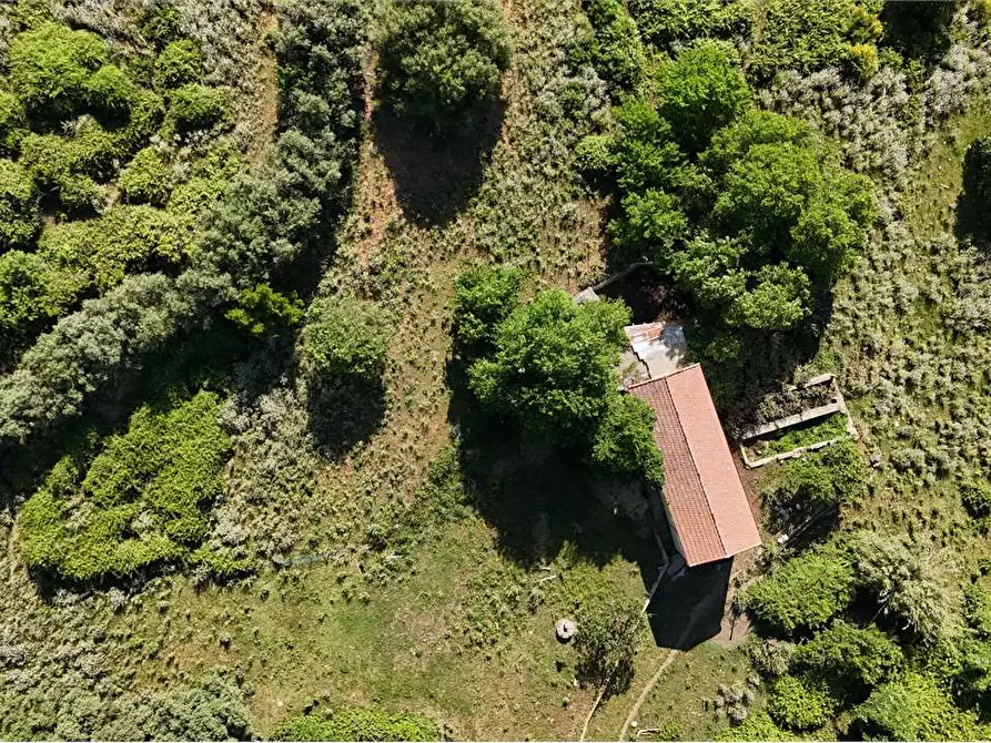 Immagine 11 di Rustico / casale in vendita  in Contrada Pensabene a Monreale