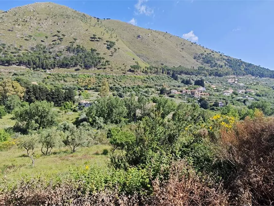 Immagine 13 di Rustico / casale in vendita  in Contrada Pensabene a Monreale