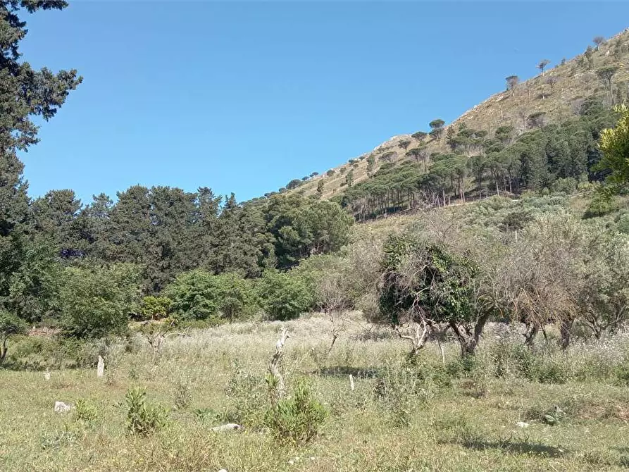 Immagine 21 di Rustico / casale in vendita  in Contrada Pensabene a Monreale