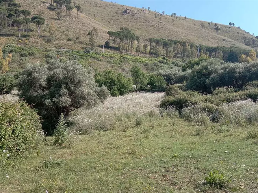 Immagine 23 di Rustico / casale in vendita  in Contrada Pensabene a Monreale