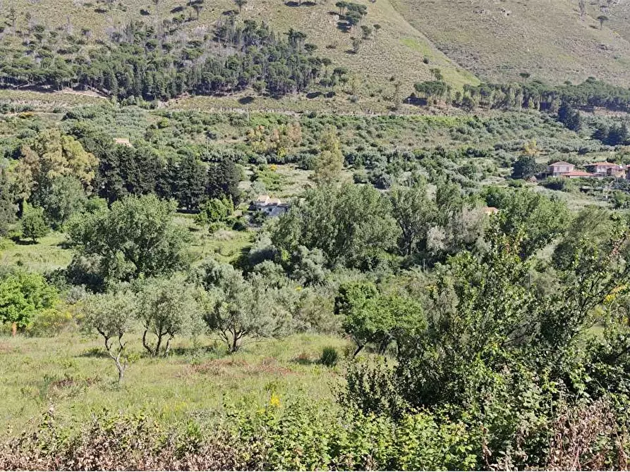 Immagine 24 di Rustico / casale in vendita  in Contrada Pensabene a Monreale
