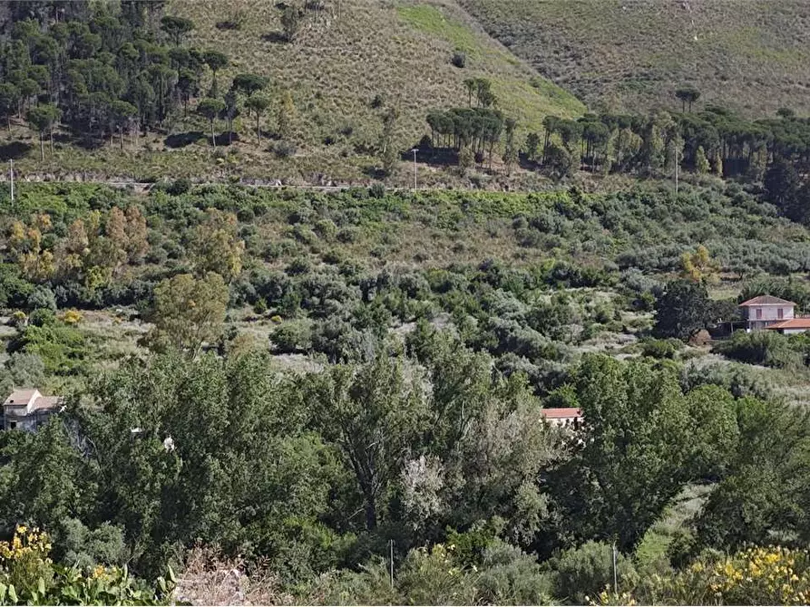 Immagine 30 di Rustico / casale in vendita  in Contrada Pensabene a Monreale