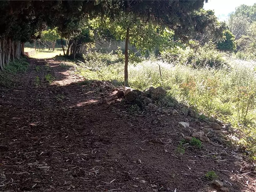 Immagine 31 di Rustico / casale in vendita  in Contrada Pensabene a Monreale