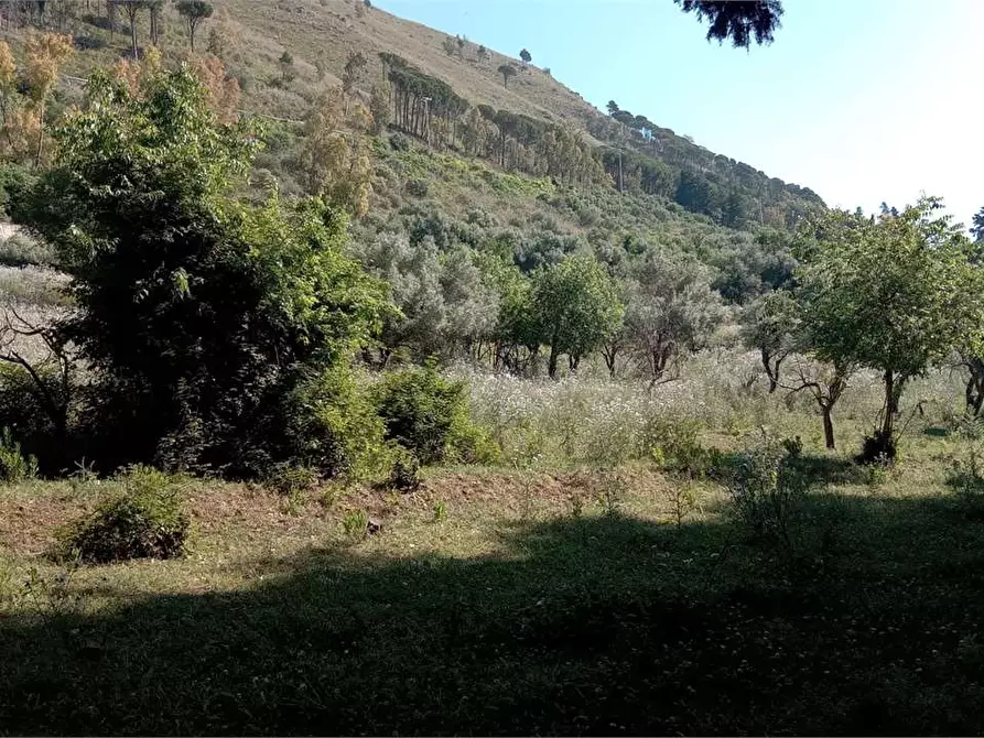 Immagine 33 di Rustico / casale in vendita  in Contrada Pensabene a Monreale