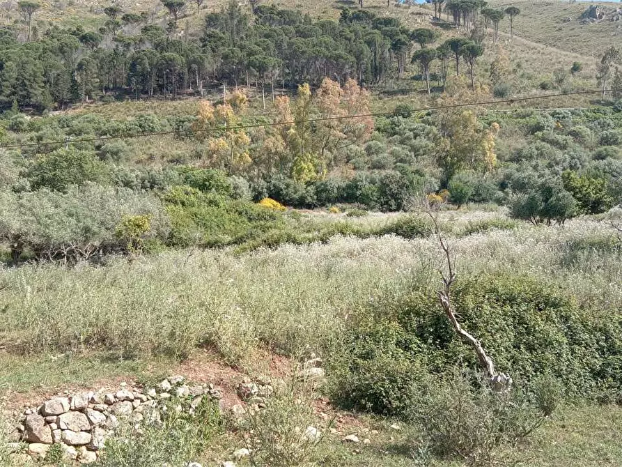 Immagine 35 di Rustico / casale in vendita  in Contrada Pensabene a Monreale