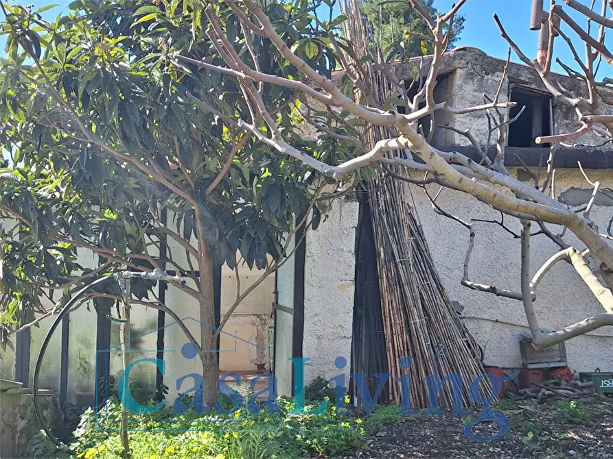 Immagine 20 di Villa in vendita  in via Favara 23 a Monreale