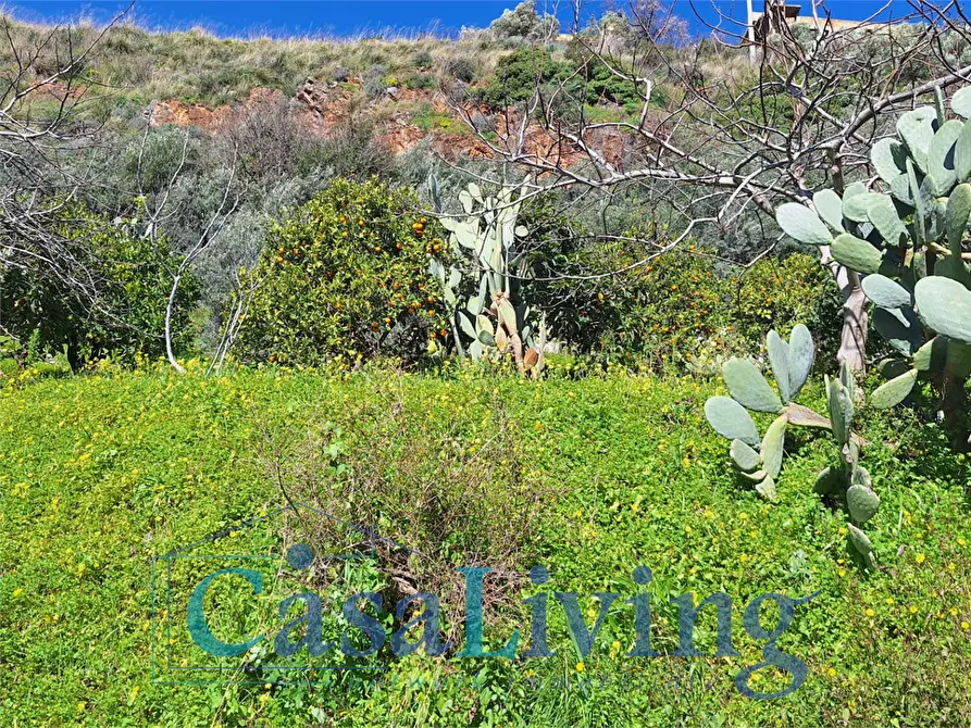 Immagine 26 di Villa in vendita  in via Favara 23 a Monreale