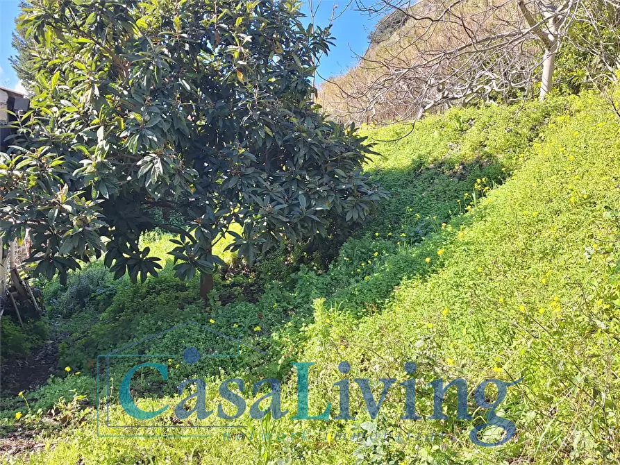 Immagine 28 di Villa in vendita  in via Favara 23 a Monreale