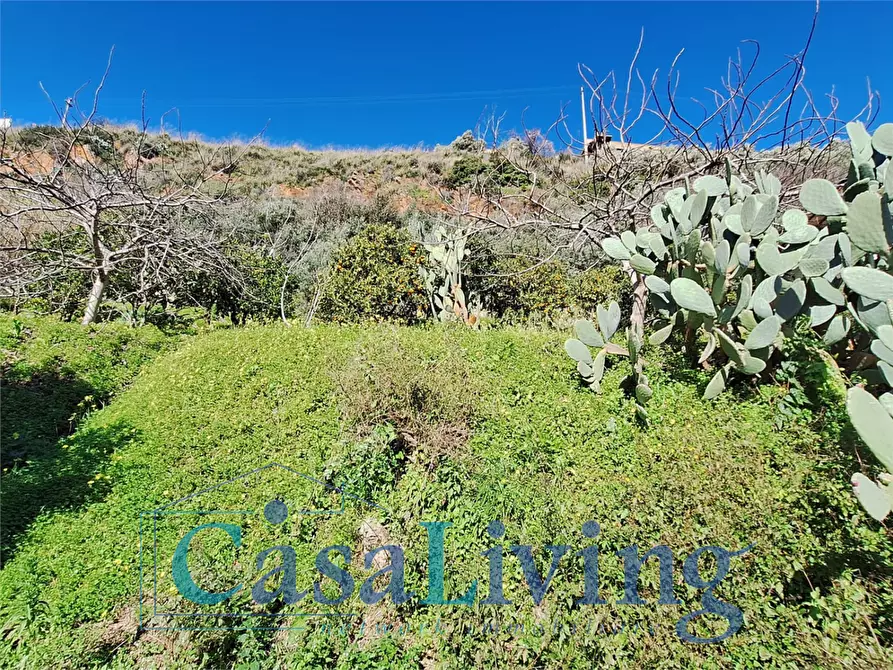 Immagine 29 di Villa in vendita  in via Favara 23 a Monreale